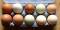 10 + 2 frische Bruteier , bunte Mischung aus Marans, Bresse, Sperber, Araucana ... = Unikate !