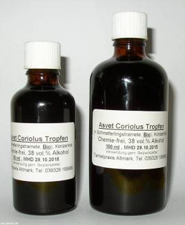100ml Coriolus Tropfen, Extrakt, Schmetterlings Tramete Konzentrat - Bild vergr��ern 